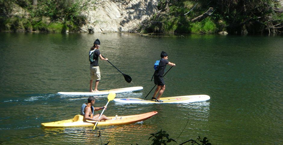 stand up paddle surf